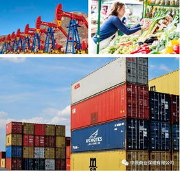 中原保理 打造河南供應(yīng)鏈金融第一品牌