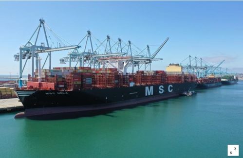 美國9月商品貿易逆差大幅縮窄，第三季創(chuàng)紀錄增長預期提振貿易前景