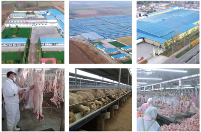 縣委書(shū)記李劍青深入康遠(yuǎn)公司調(diào)研調(diào)度重點(diǎn)項(xiàng)目建設(shè)工作